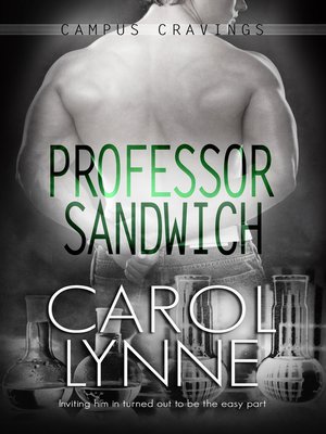 cover image of Professor Sandwich